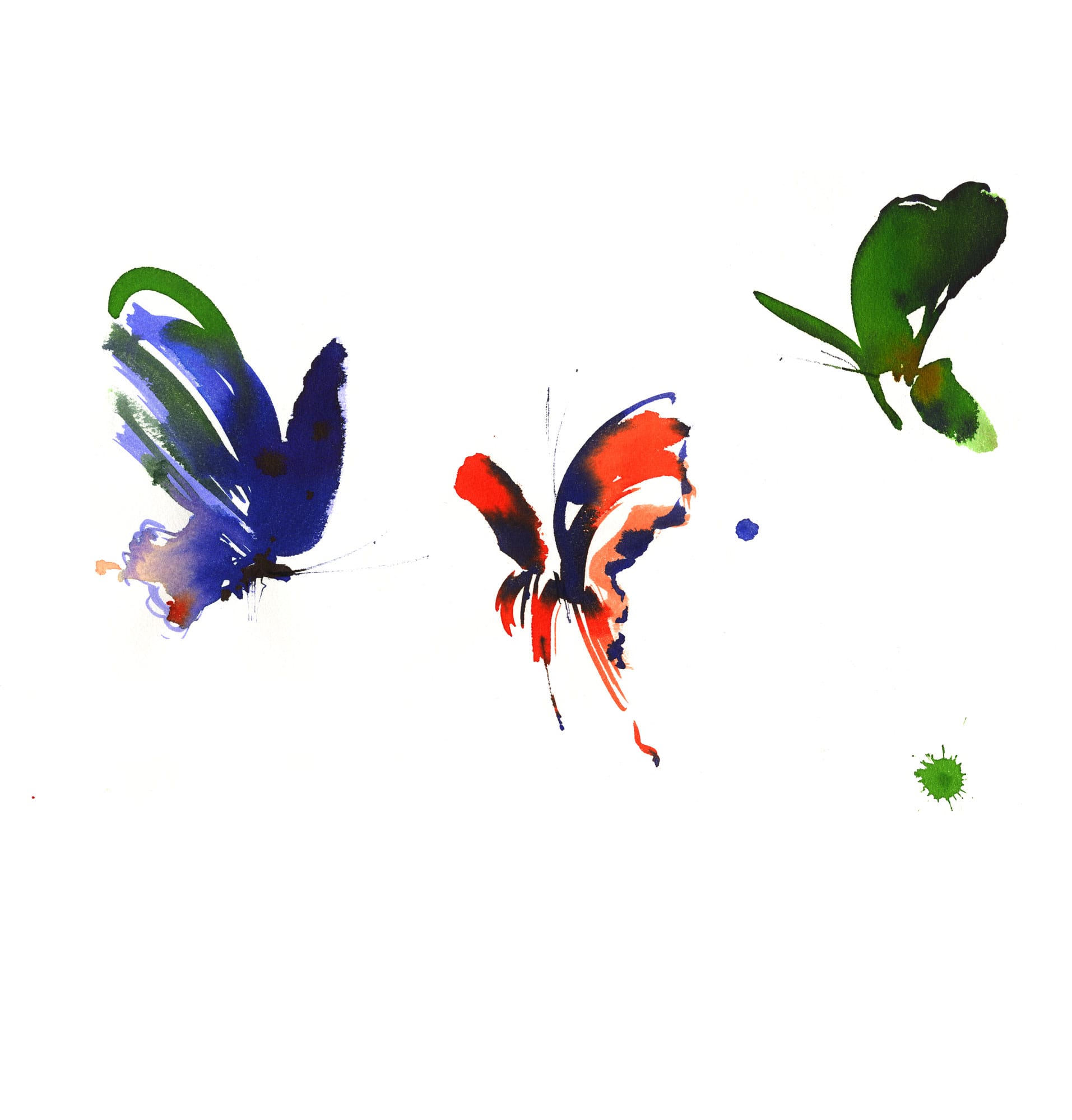 Lovisa Burfirtt illustration Papillons