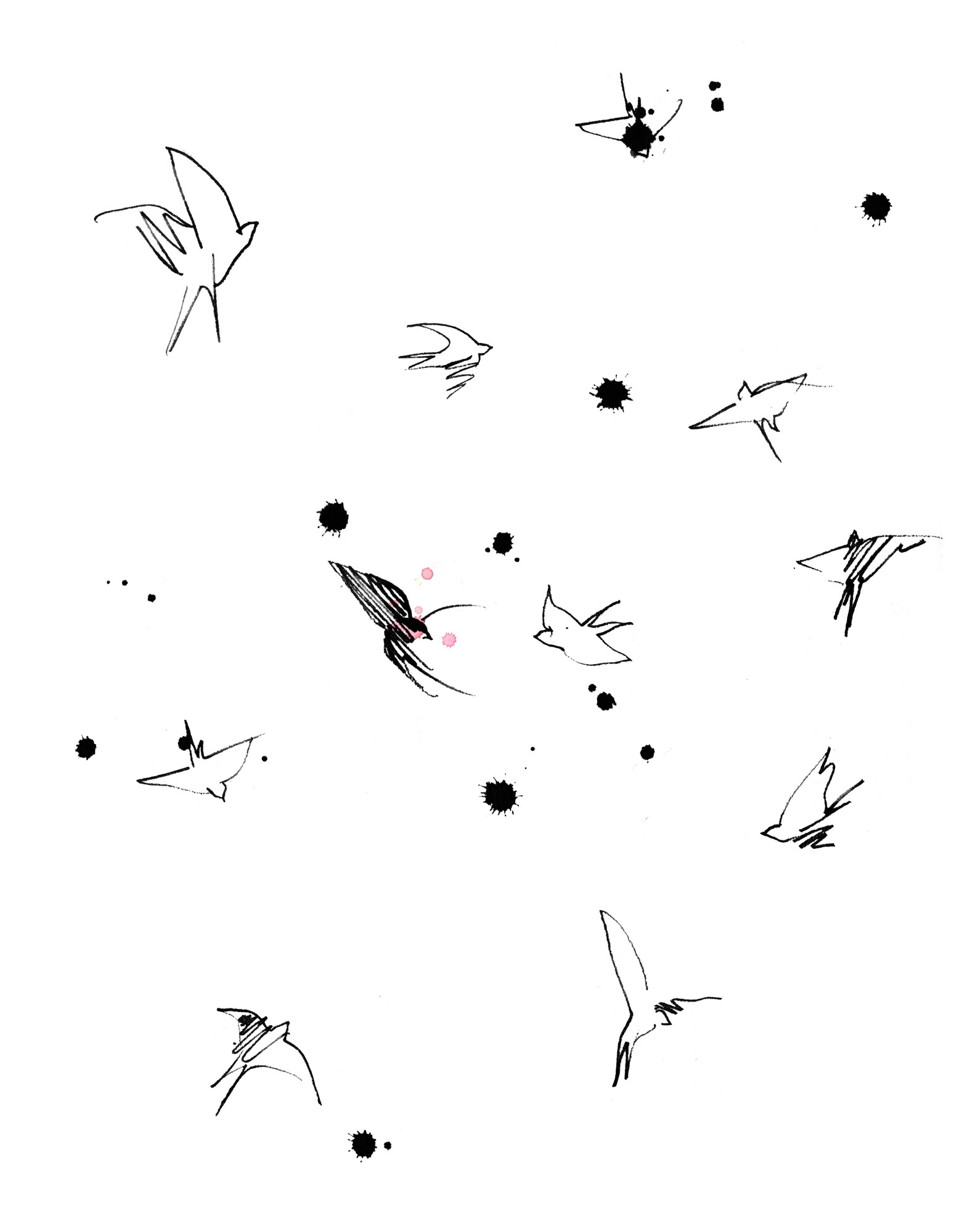 Lovisa Burfitt illustration Birds-swallows