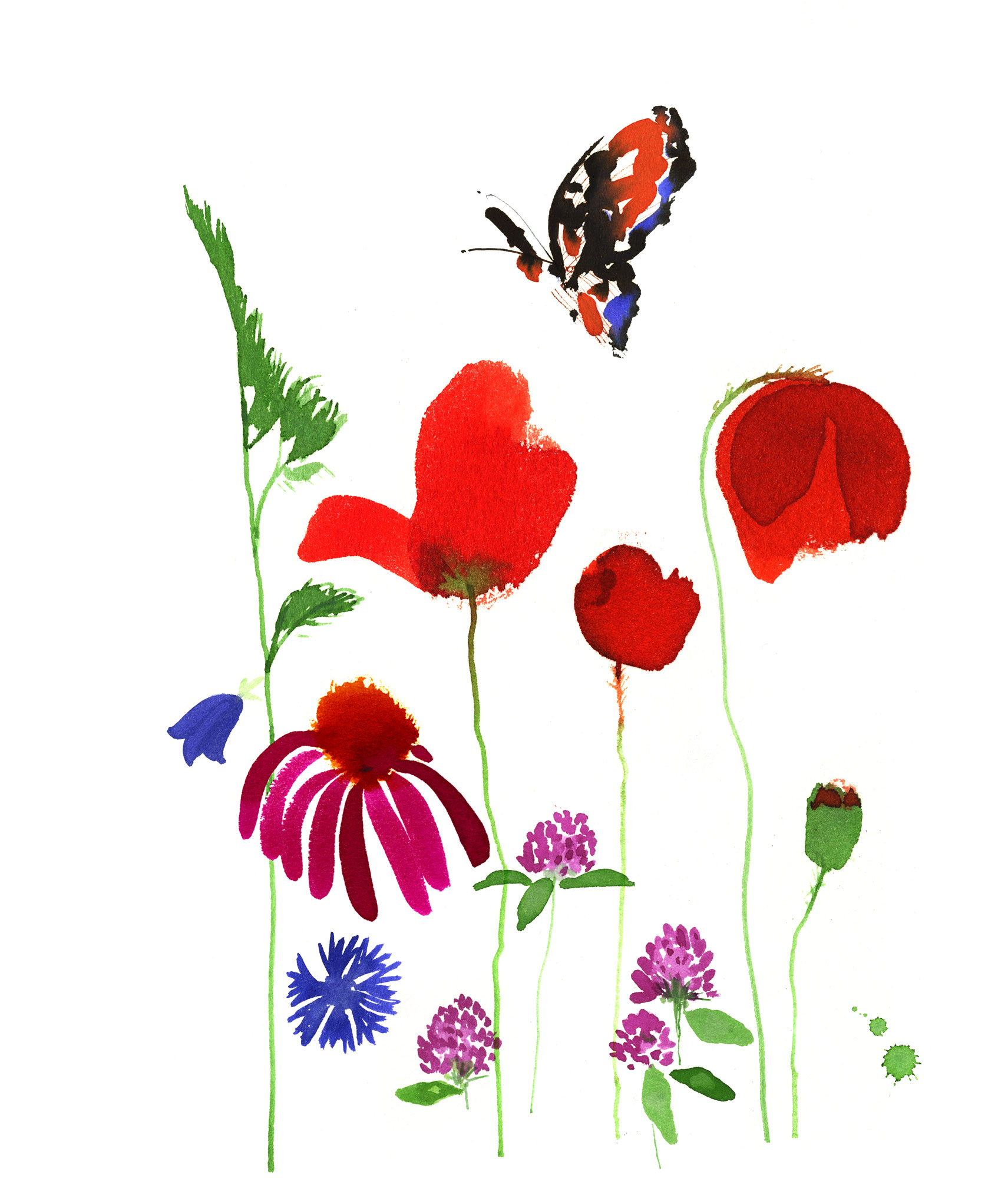 Lovisa Burfitt illustration Summer flora