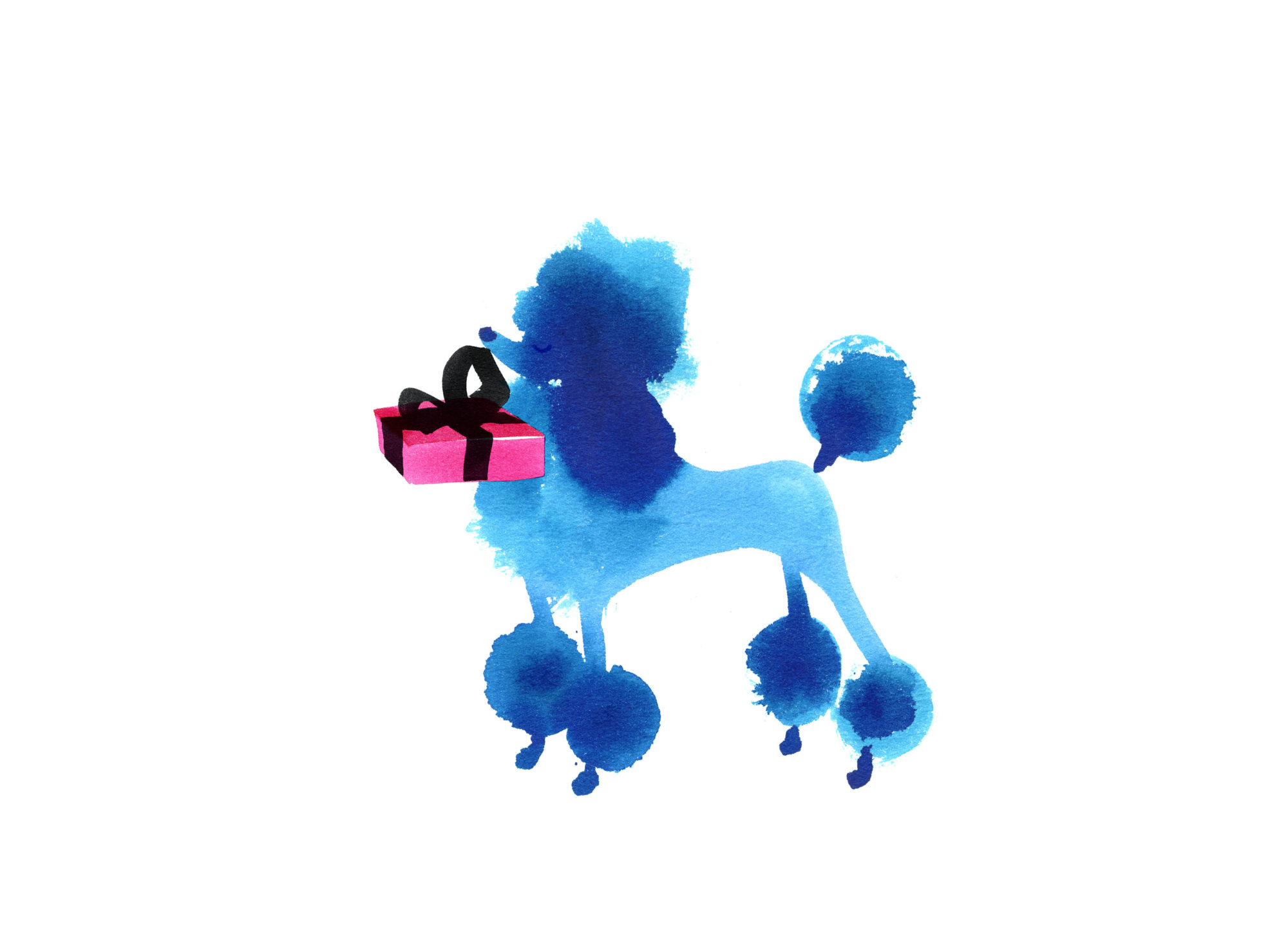Lovisa-Burfitt-illustration-Poodle-azul
