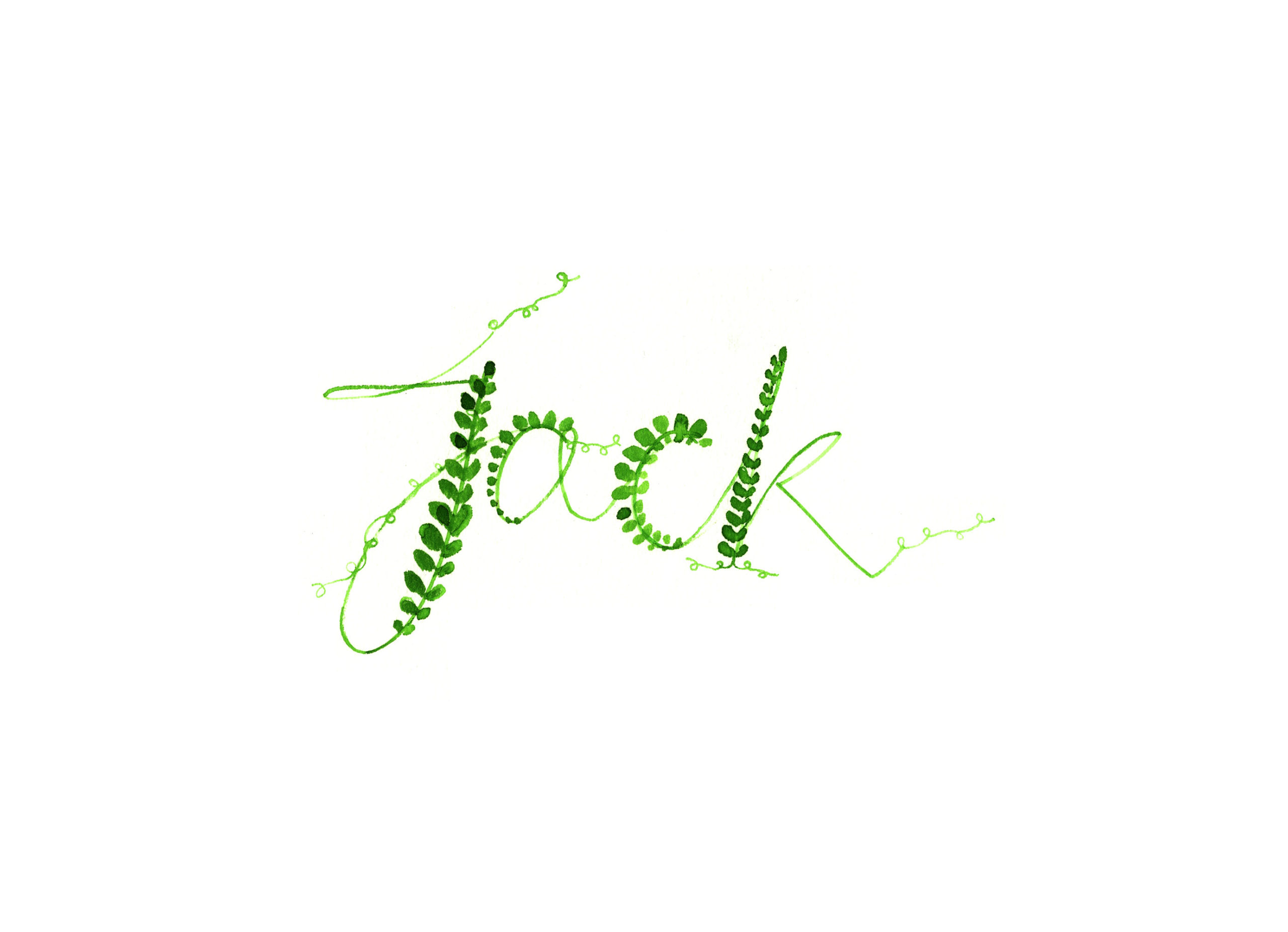 Lovisa-Burfitt-illustration-leafy-Jack
