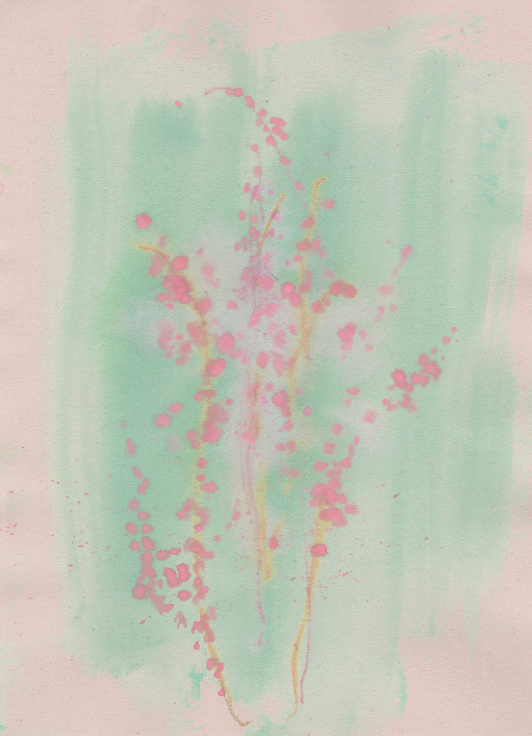 INST-Champs-sommarblomster