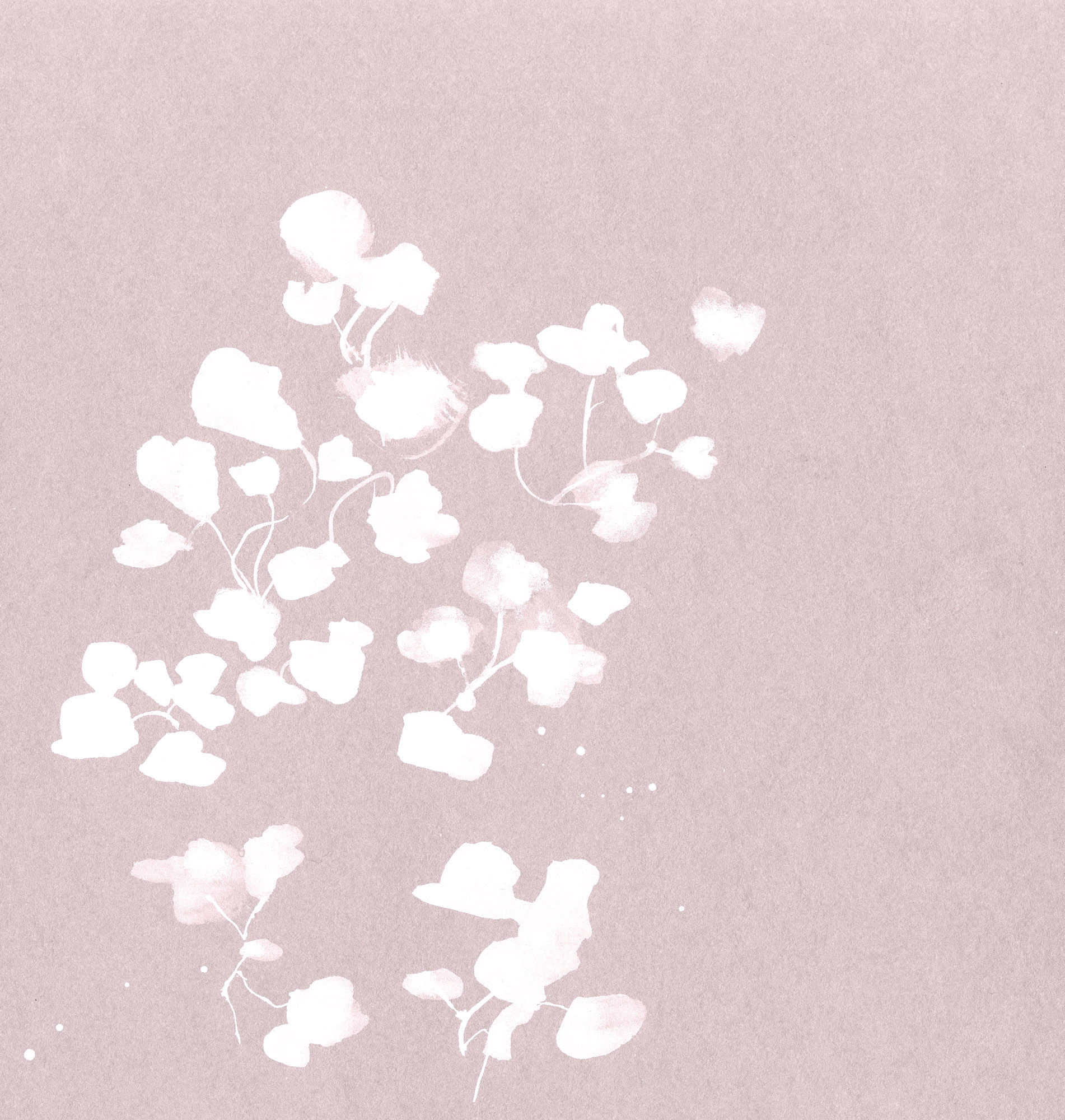 Flora-blk-feuilles-blanc