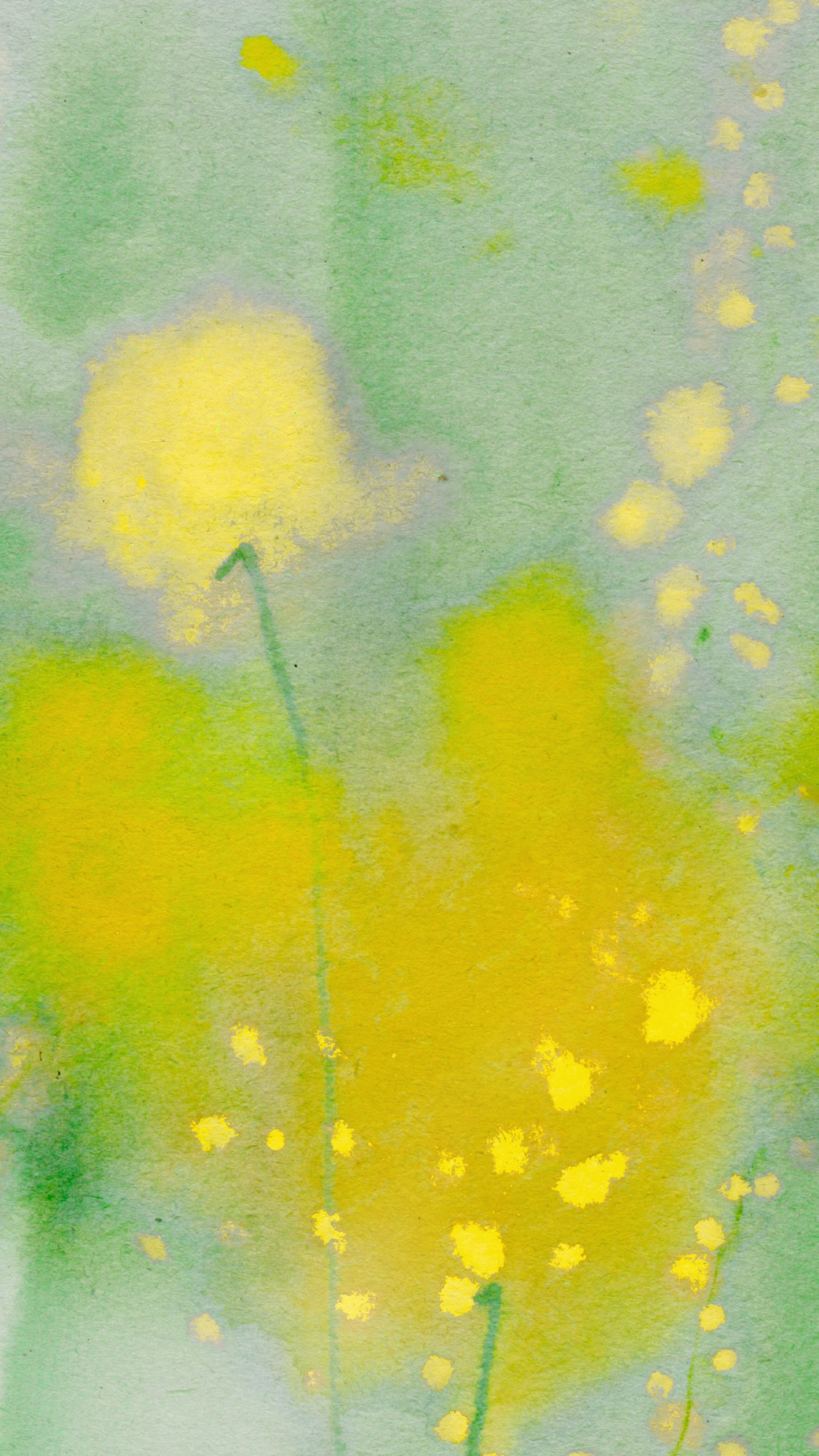 Mimosa-LovisaBUrfitt-REEL-