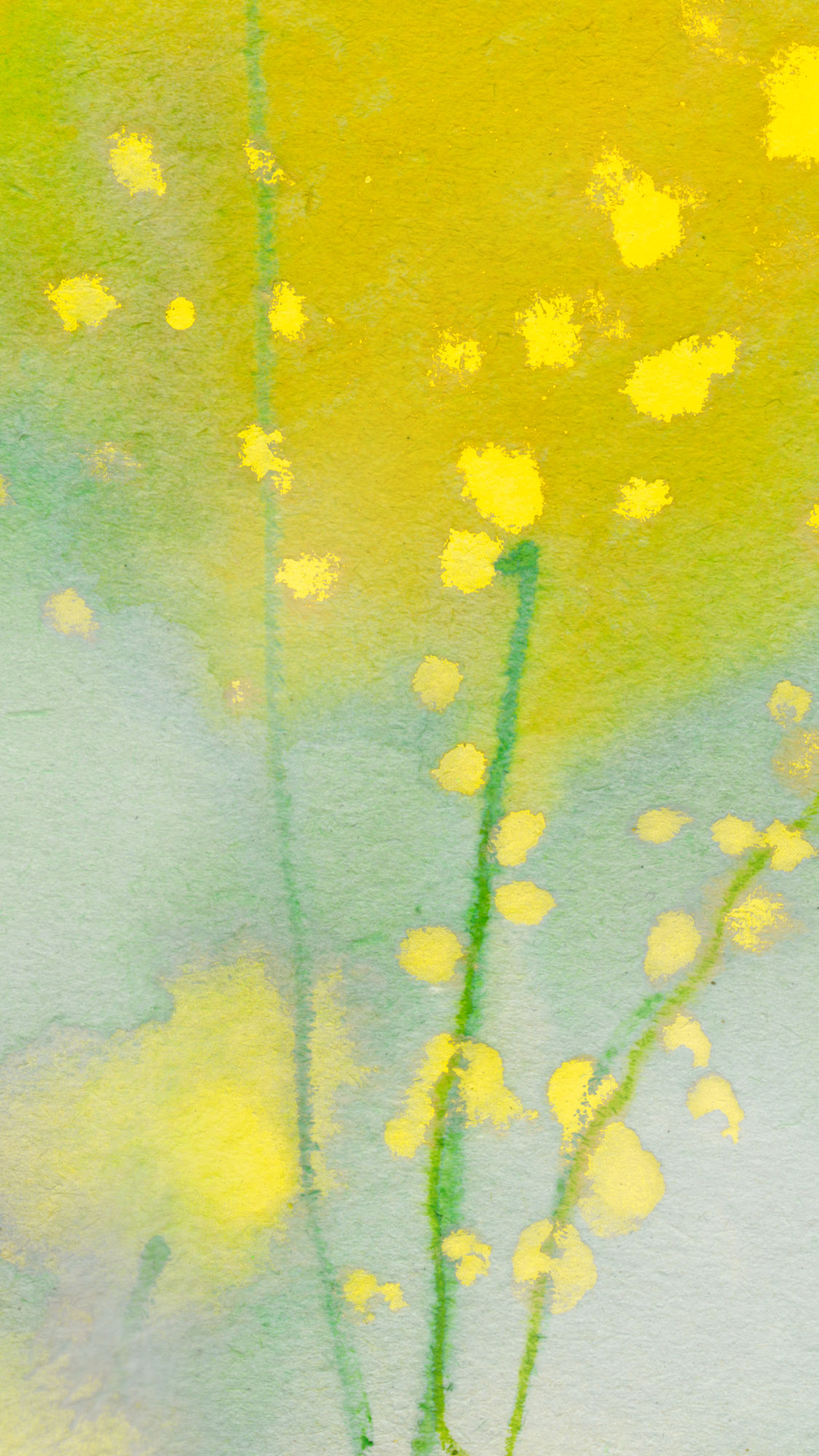 Mimosa-LovisaBUrfitt-REEL-05